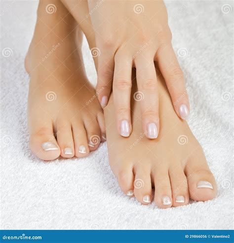 images toes|Beautiful Toes Pictures, Images and Stock Photos.